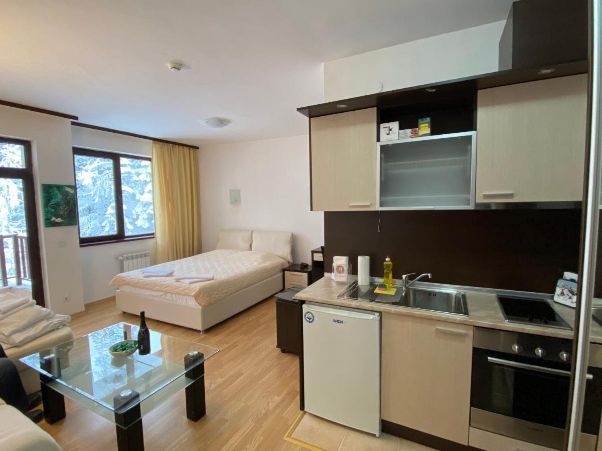 Charming Winter Studio Borovets Ngoại thất bức ảnh